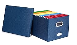 Internet's Best Collapsible File Storage Organizer