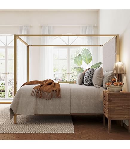 Amazon.com: THINK 30 Modern Luxury Metal Canopy Bed with Tall