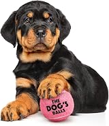 The Dog's Balls Pink Small 6-Pack Dog Tennis Balls - Floats Non-Abrasive view 3