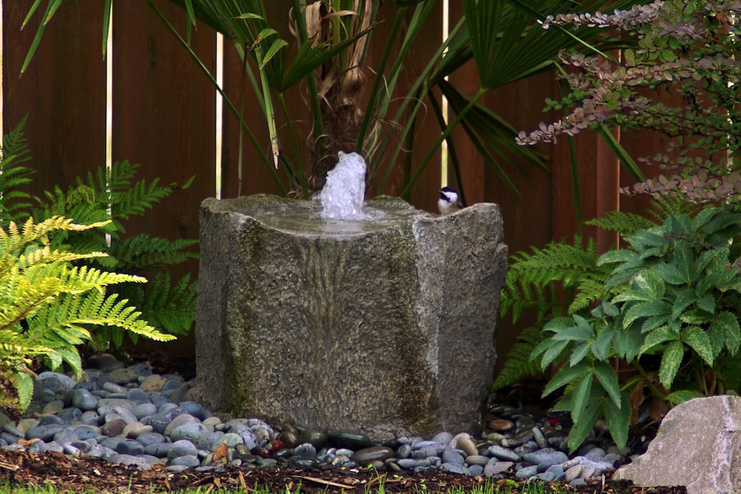 Amazoncom LiquidArt Klamath Basin Fountain Kit Free Standing