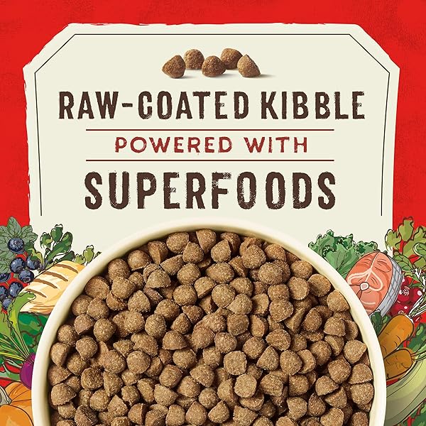 STELLA & CHEWY’S SUPERBLENDS RAW COATED WHOLESOME GRAINS PUPPY CAGE-FREE CHICKEN & WILD-CAUGHT SALMON RECIPE WITH SUPERFOODS, 3.5 LB. BAG