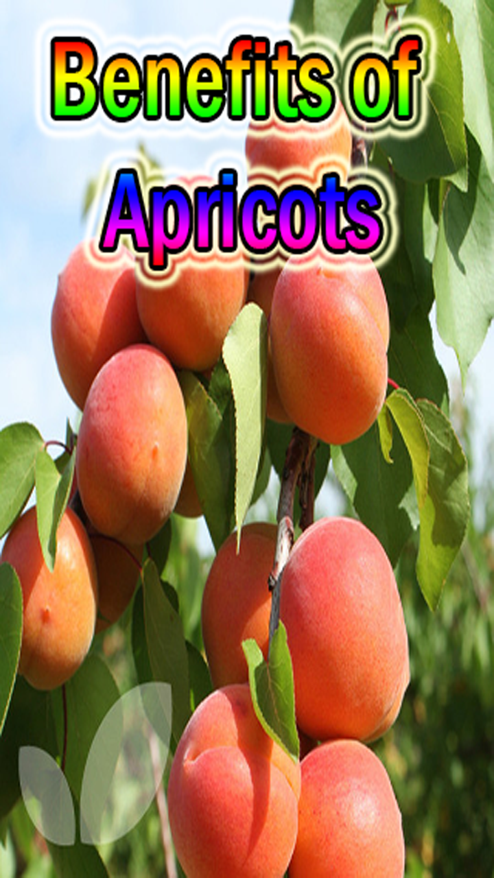 Benefits of ApricotsAmazon.frAppstore for Android
