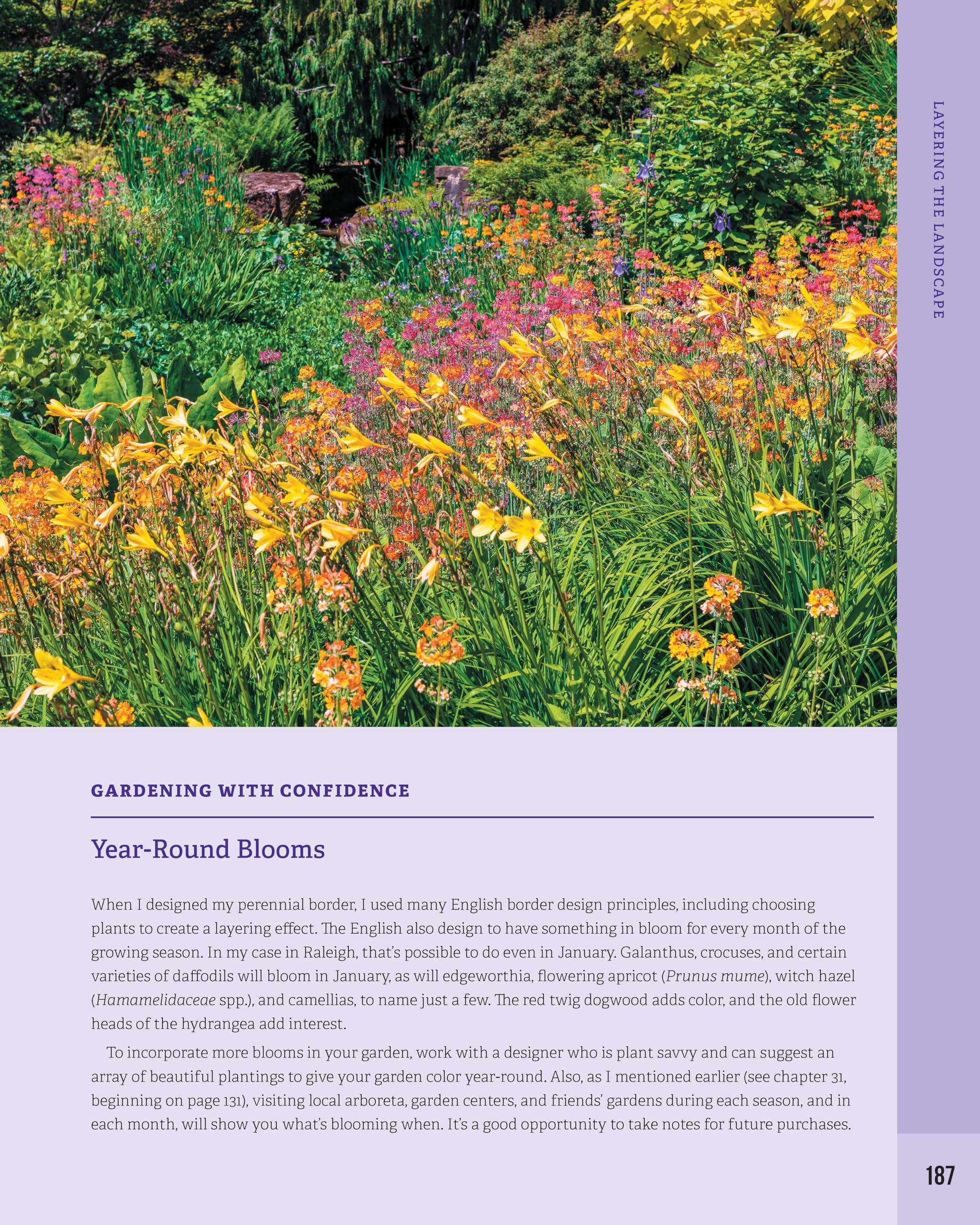 Beginner's Guide to Garden Planning and Design: 50 Simple Gardening Ideas for Adding Style & Personality to Your Outdoor Space (Creative Homeowner) Sustainable Gardening, Using Containers, and More