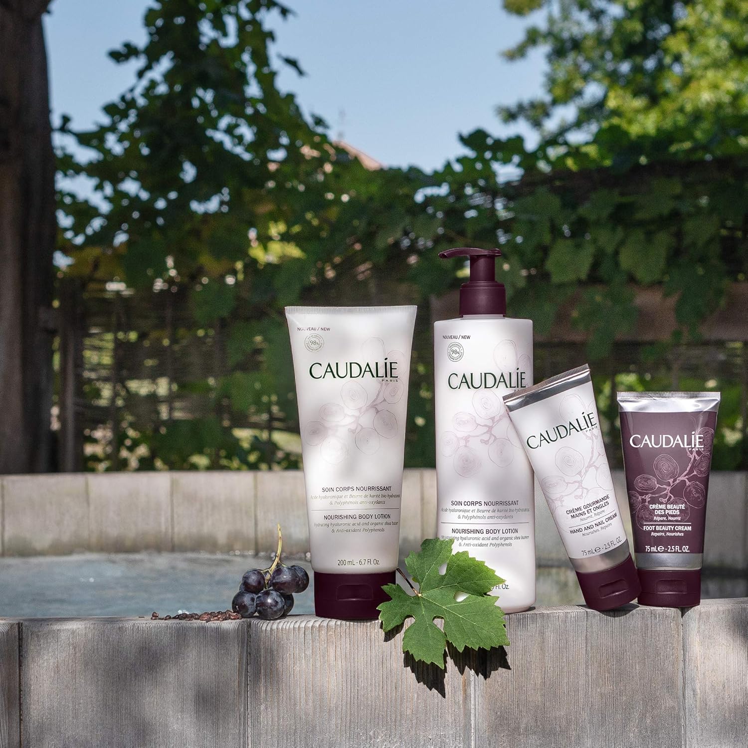 Caudalie Nourishing and Protective Hand and Nail Cream, 2.5 Ounce: Premium Beauty