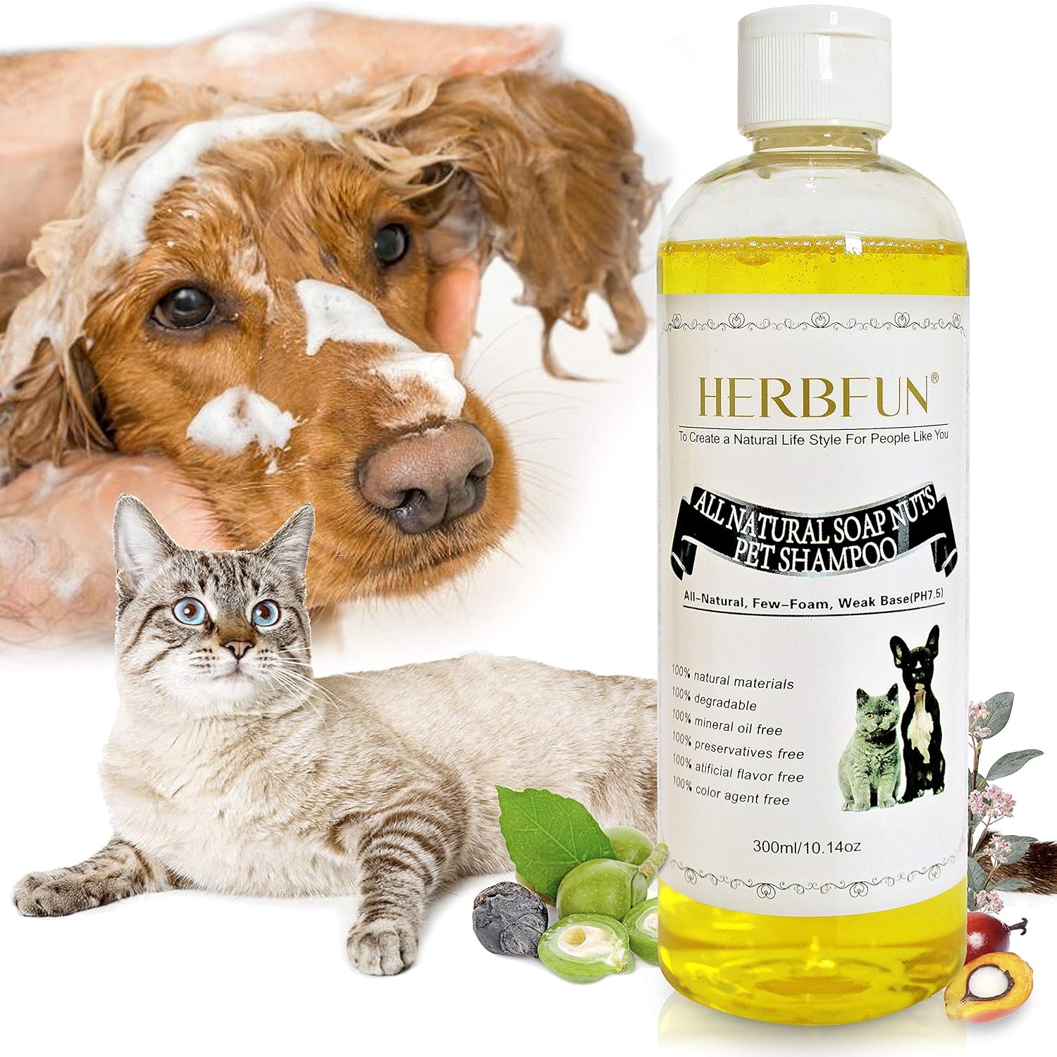 antifungal dog shampoo uk