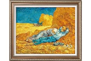 Dimensean Stamped Cross Stitch Kits Full Range of Embroidery Patterns Starter Kits for Beginners Adult or Kids DIY Cross Stitches Needlepoint Kits 11CT-Van Gogh Lunch Break 16.5x19.7 inch