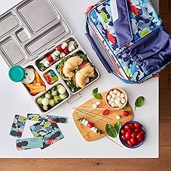 PlanetBox Rover Stainless Steel Bento Box Style