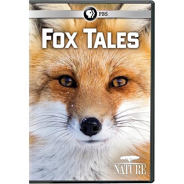 Amazon.com: NATURE: The Mighty Weasel : n/a, Hannah Ward: Movies & TV