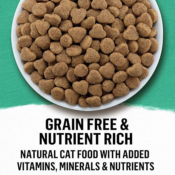 PURINA BEYOND NATURAL GRAIN FREE DRY CAT FOOD WHITEFISH AND EGG RECIPE WITH ADDED VITAMINS, MINERALS AND NUTRIENTS – 3 LB. BAG
