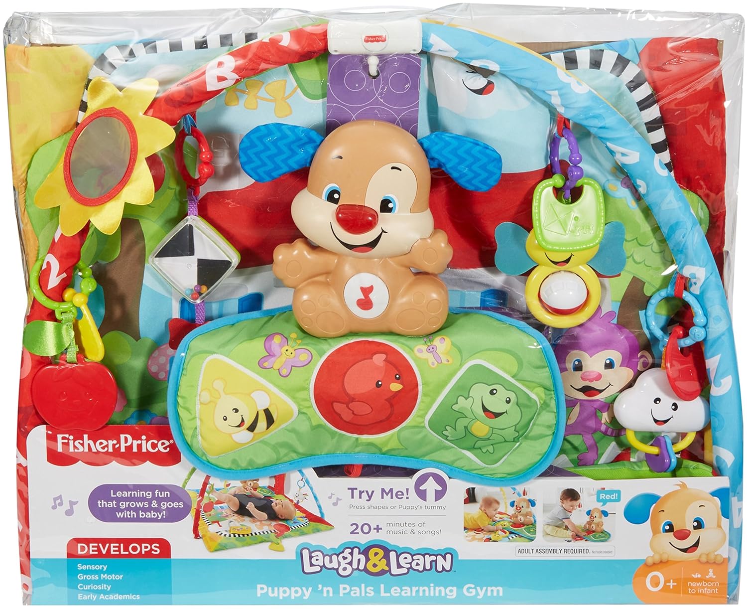 fisher price puppy play mat