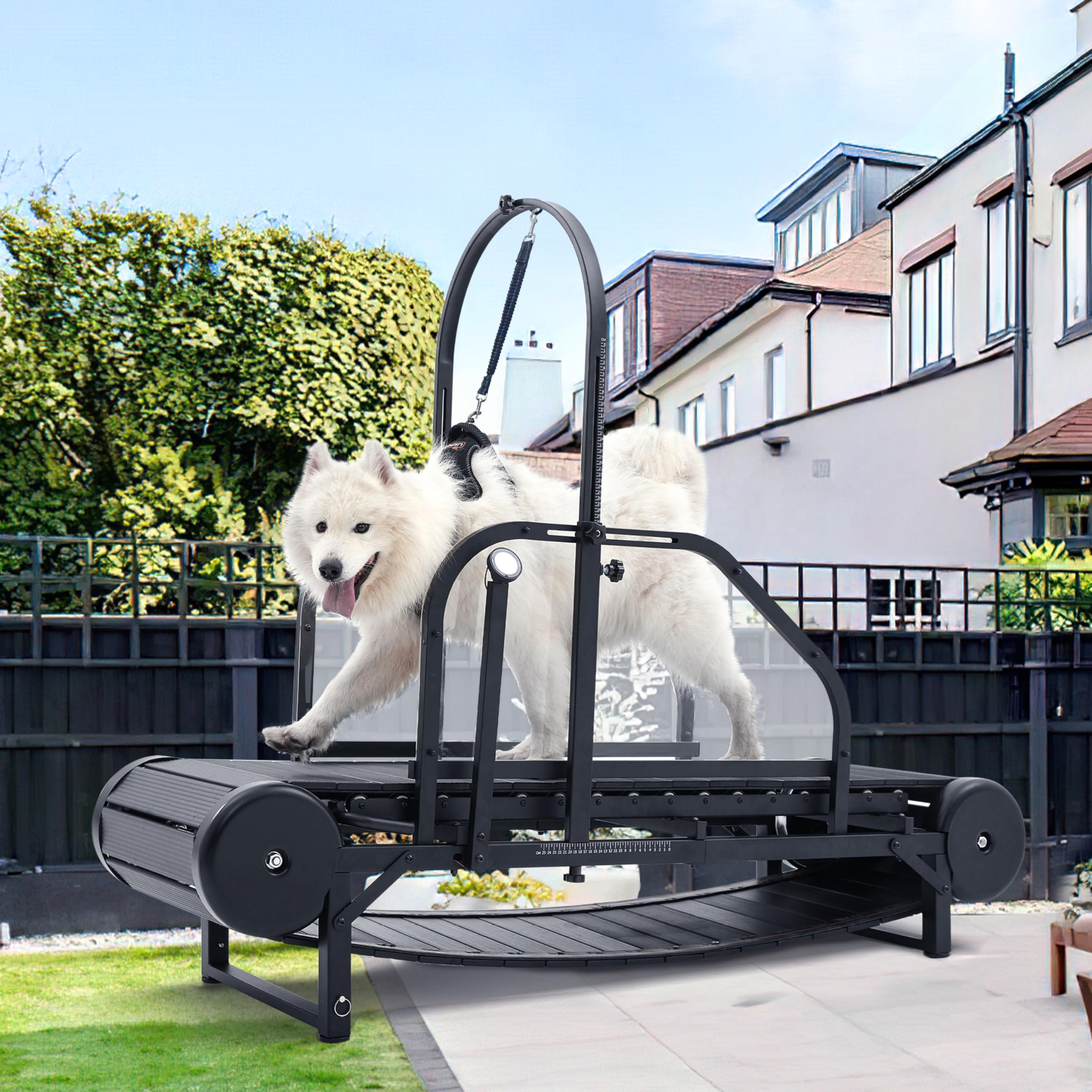 Photo 1 of Dog Treadmill for Large/Medium Dogs, Adjustable Ramp Canine Running Slatmill Machine with Pedometer for Exercise & Healthy & Fit Pet Life, Used Indoor Home Up to 300LBS