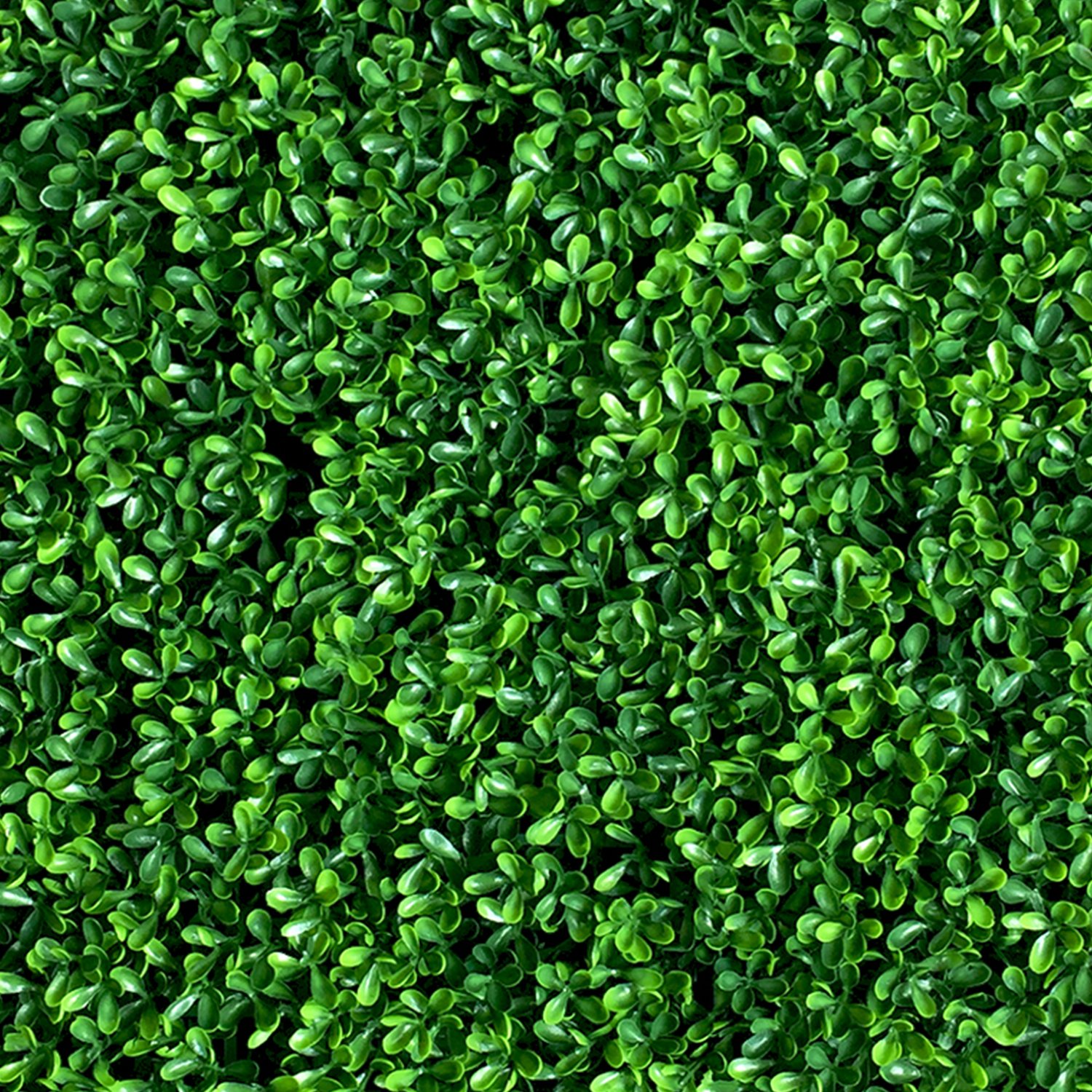 Best 4’X8′ Garden Fence