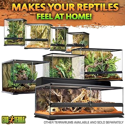 Buy Exo Terra Glass Terrarium Kit For Reptiles And Amphibians Mini Tall 12 X 12 X 18 Inches Pt2602a1 Online In Italy B000oqw98q