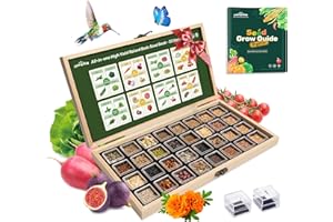 LUSH&DEWㅤ Lush&Dew Raised Garden Bed Heirloom Seed Bank, 32 Varieties 30,000+ Non-GMO Survival Seeds for Planting Vegetables Herbs Fruits, Gardening Gifts for Women Men, Seed Vault Kit, Emergency Food Supplies