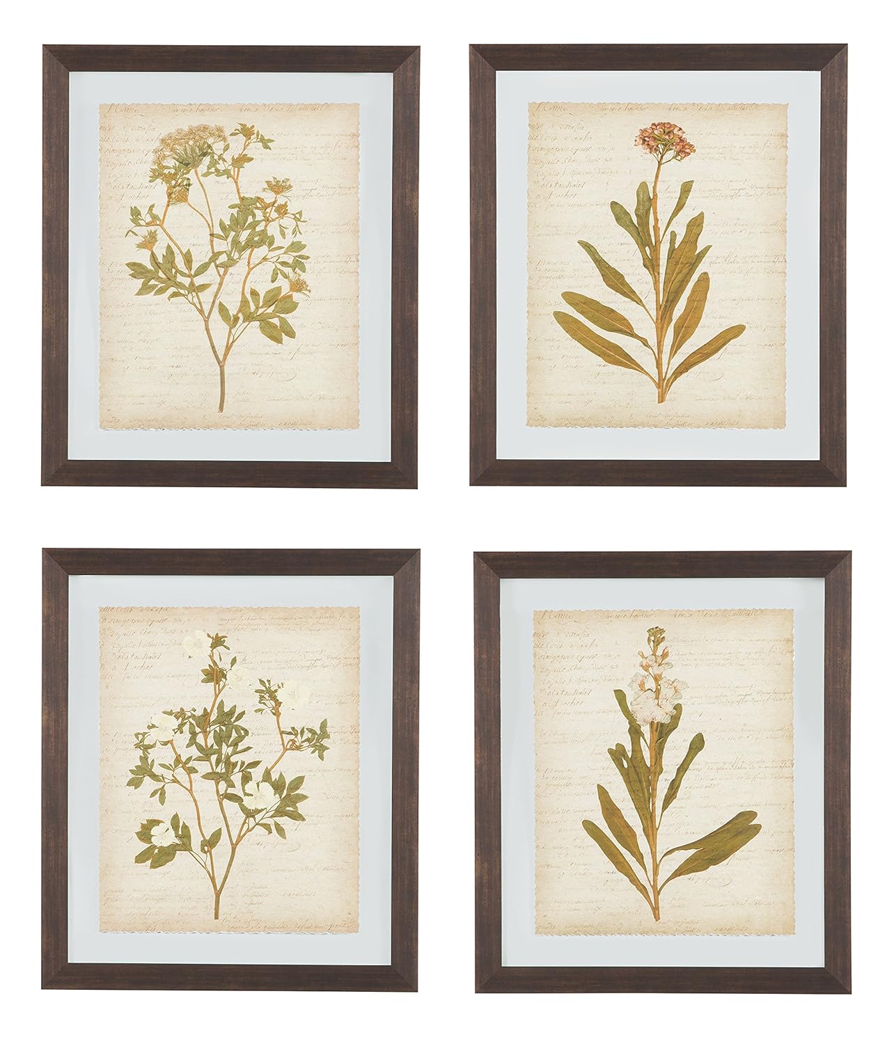Ashley Furniture Signature Design - Dyani Botanical Wall Art - Set of Four - Casual - Neutral Tones