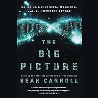 The Big Picture: On the Origins of Life, Meaning, and the Universe Itself