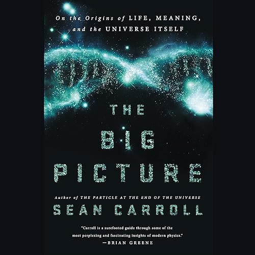 Download The Big Picture: On the Origins of Life, Meaning, and the Universe Itself PDF