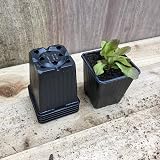 Bosmere Replacement Vegetable Pots 9cm Square Black Pack of 18 Seedling Trays view 3