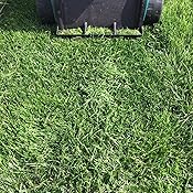 Rasenmäher bosch rotak 43