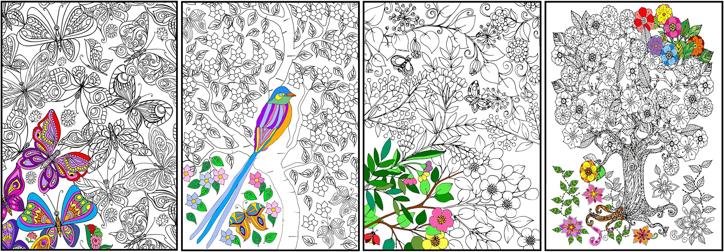 Joy of Coloring Enchanted Gardens Poster (4 Set), 11" x 17"