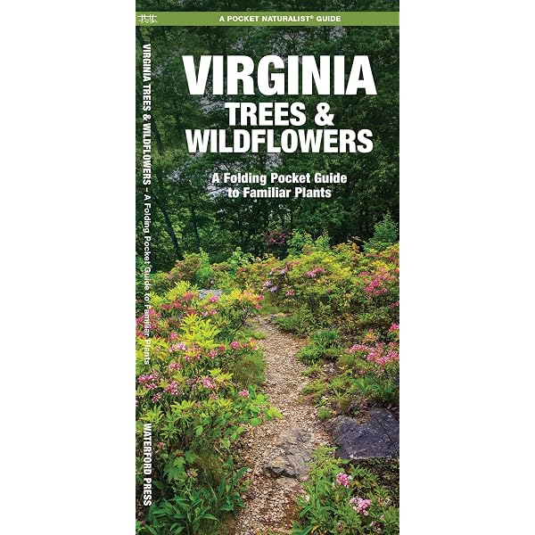 tobacco town futures Tobacco Town Futures: Global Encounters in Rural Kentucky: Ann E.  Kingsolver: 9781577667087: Amazon.com: Books