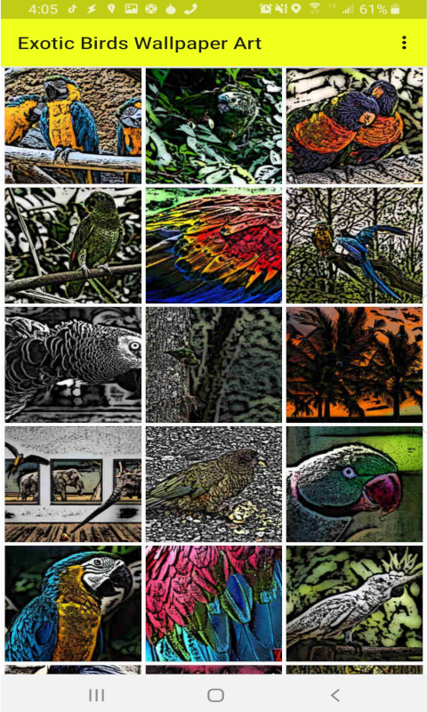 Exotic Birds Wallpaper Art (HD)