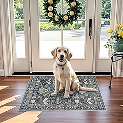 Washable 2x3 Runner Rug for Entryway: Easy-Clean