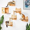 IDAE Cat Wall Shelves Set of 9 – Modern Wall-Mounted Climber with House, Steps & Scratcher – Furniture for Large Indoor Cats – Natural Wood