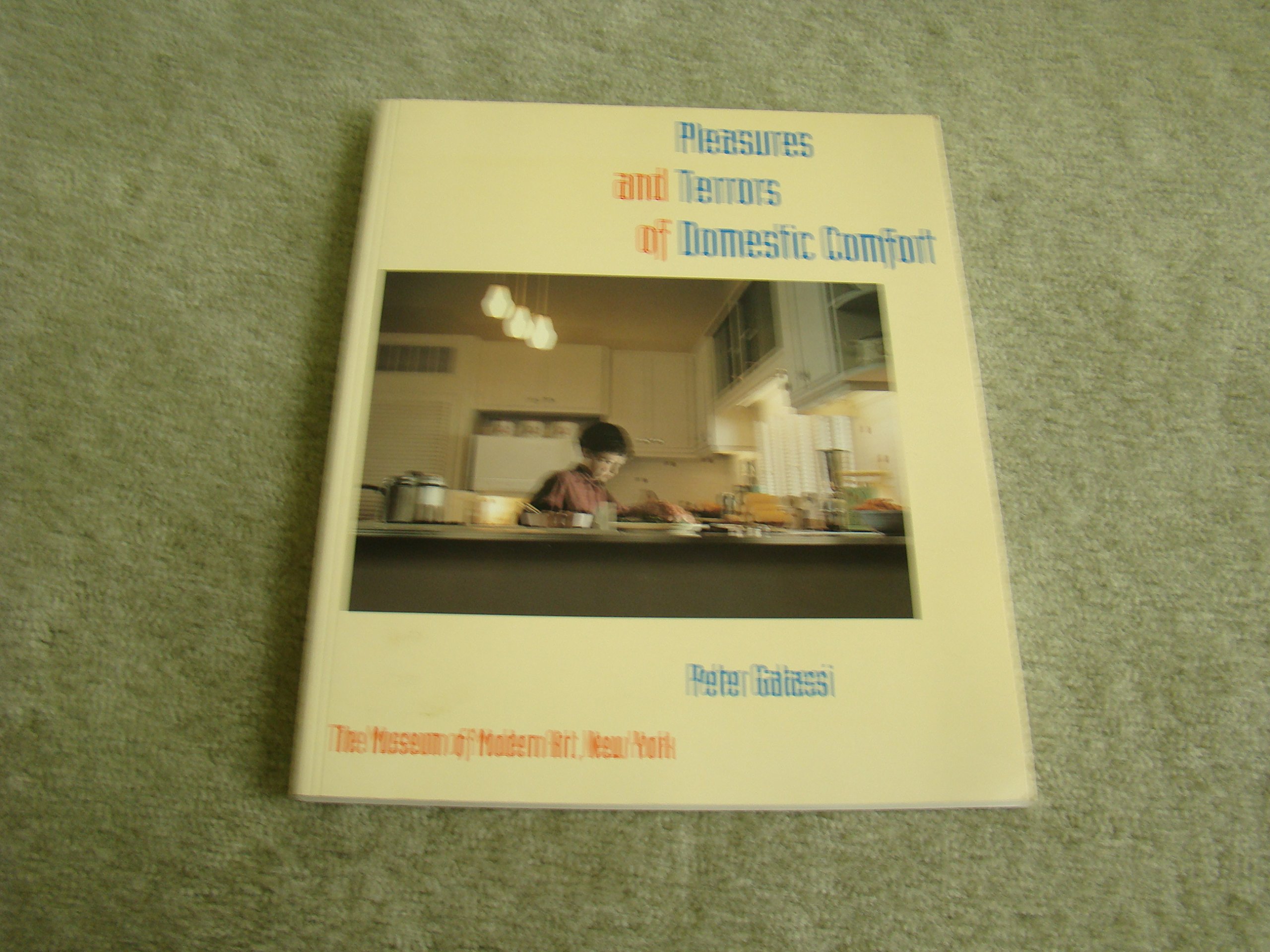 Pleasures And Terrors Of Domestic Comfort Amazon Co Uk Peter