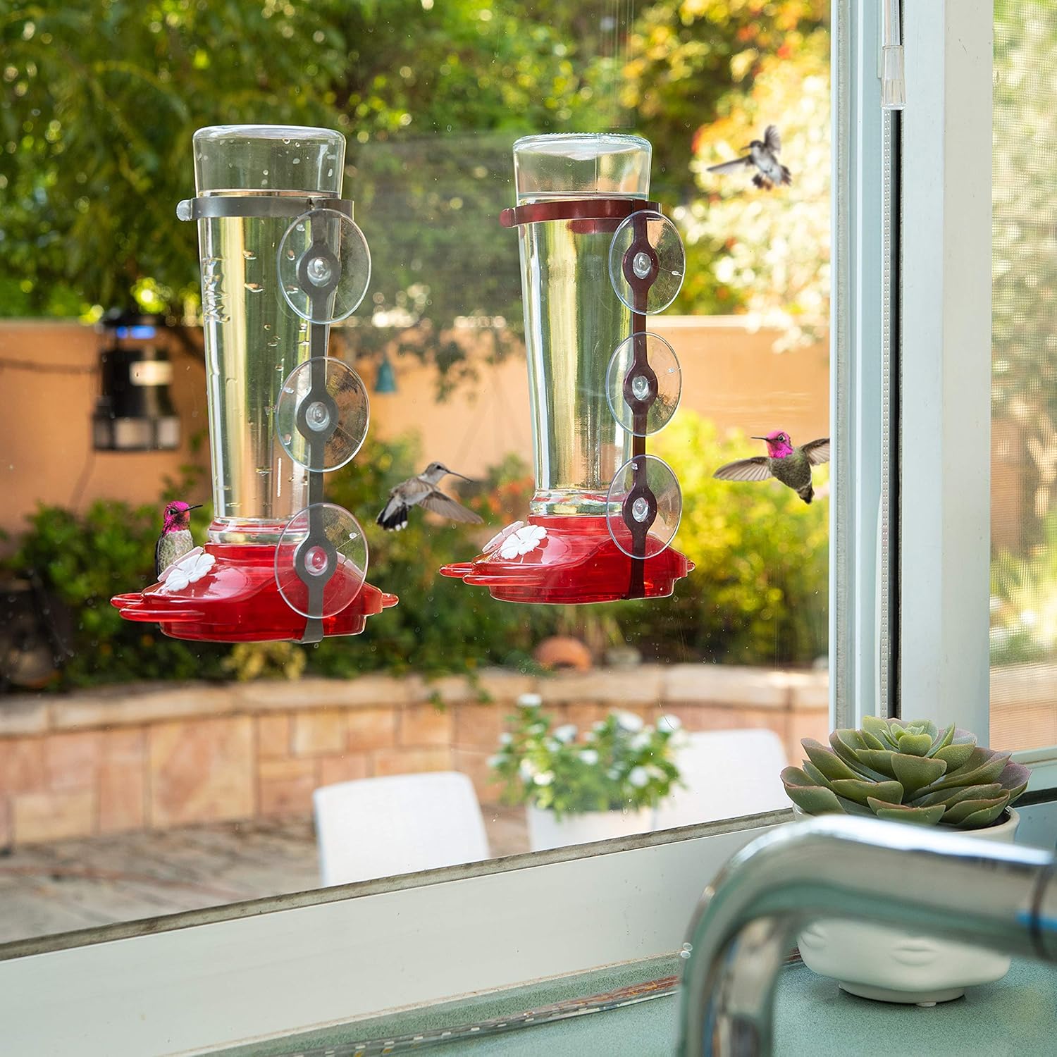 Nature Anywhere Window Hummingbird Feeders for Outdoors Including 3 Colors of Interchangeable Flowers for Hummingbirds Food and Nectar (Large) : Garden & Outdoor