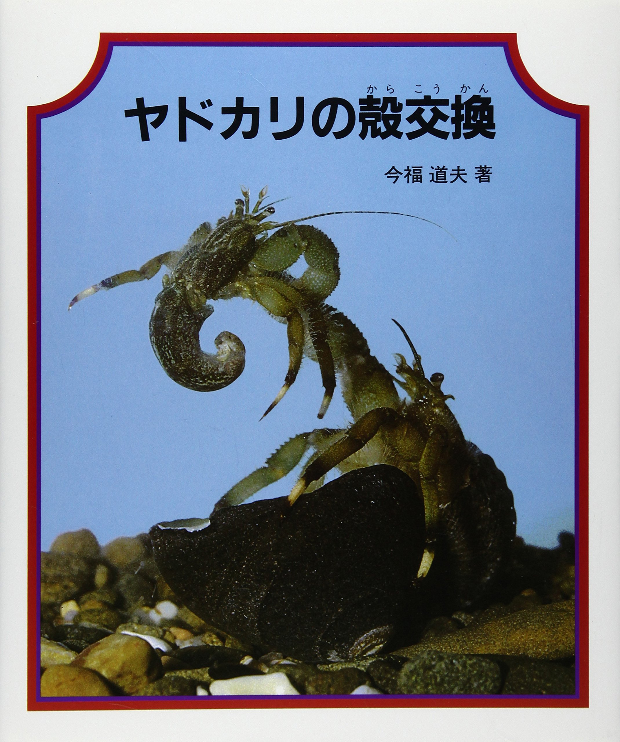 ヤドカリの殻交換 やさしい科学 今福 道夫 本 通販 Amazon