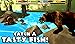 Wildlife Simulator: Bear