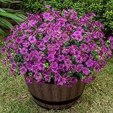 Lnoicy 20 Bundles Artificial Flowers for Outdoor Fake Plants for Spring Decoration,Faux Eucalyptus Flowers for Planter UV Resistant Lifelike for Home Porch Garden（Fuchsia）