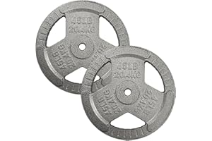 FITVIDS Cast Iron 1-Inch Standard Weight Plate for Strength Training & Weightlifting, Multiple Weights Available