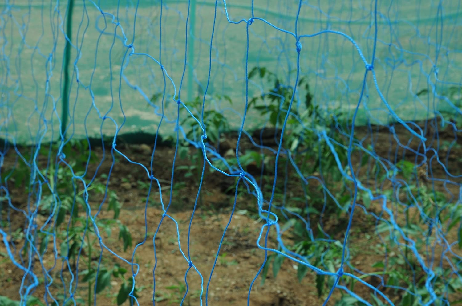 BIO BLOOMS Plant Climbing/Creeper Plant Support Net for Agriculture and