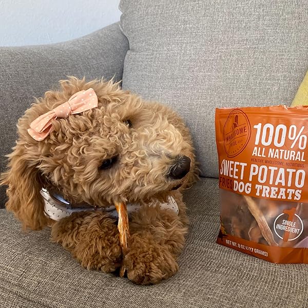 WHOLESOME PRIDE SWEET POTATO FRIES ALL-NATURAL SINGLE INGREDIENT DOG TREATS, 16 OZ