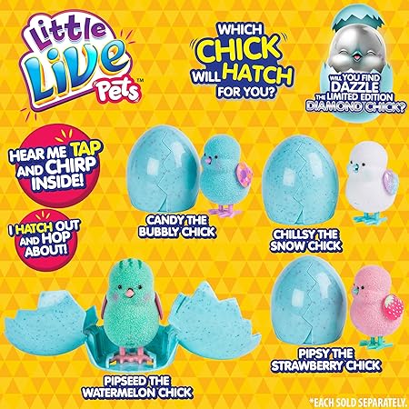 little live pets chick