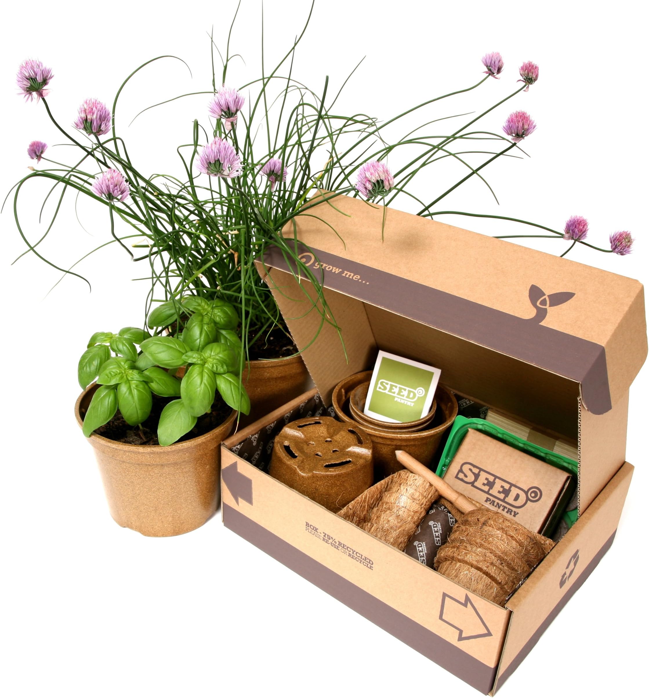 Seed Pantry Ltd SPP00024 Herb Seeds Starter Kit, Green