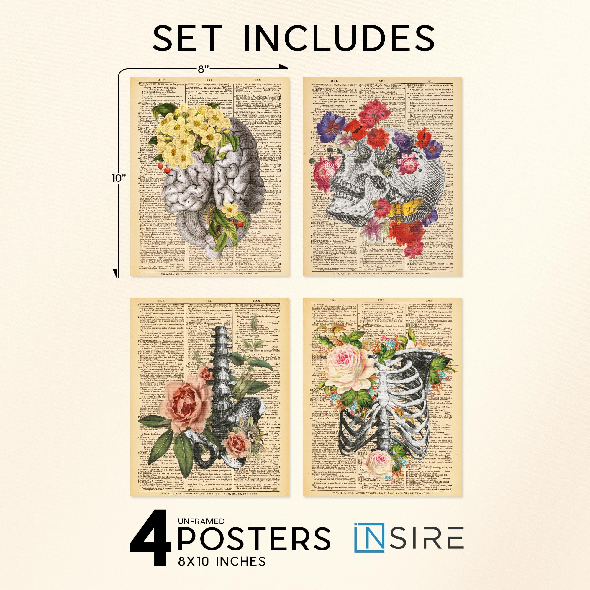 Mua Insire Anatomy Wall Art, Skull Art, Human Skeleton Poster, Anatomy ...