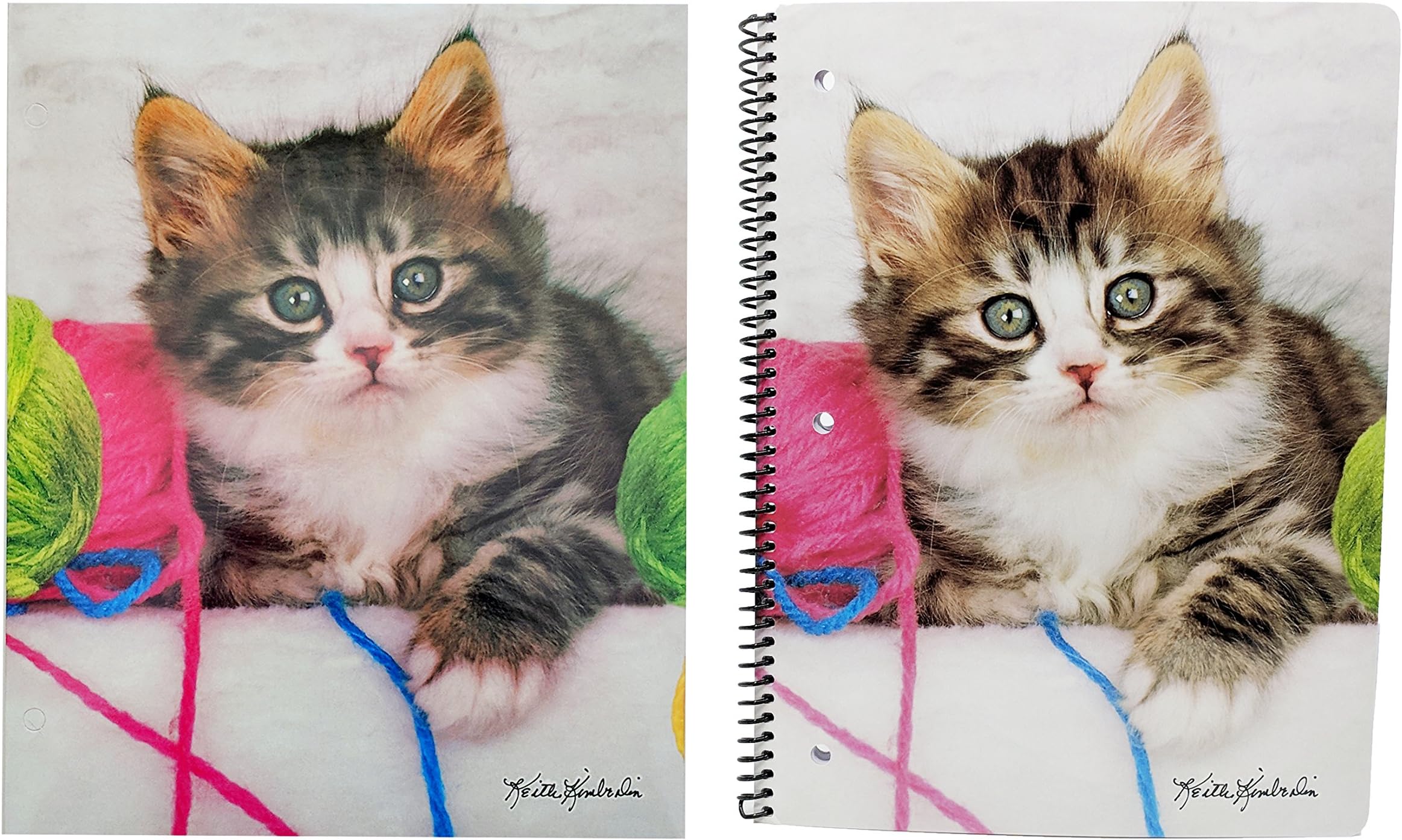 Cute Puppy Or Kitten Back to School Set – Pocket Folder and Composition Notebook (Sweet Kittens)