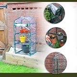 DIVCHI 3 Tier Greenhouse with Steel Frame Clear PVC Cover Indoors Outdoors view 5
