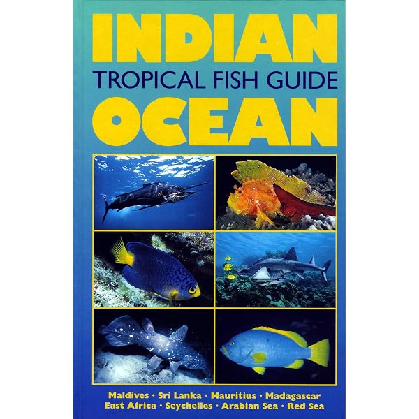 Fishes of the Great Barrier Reef and Coral Sea: Randall, John E