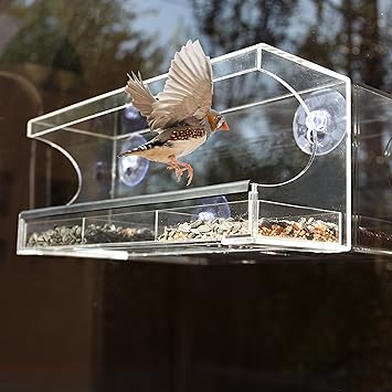 Gamgee S Garden Large Squirrel Proof Acrylic Window Bird Feeder