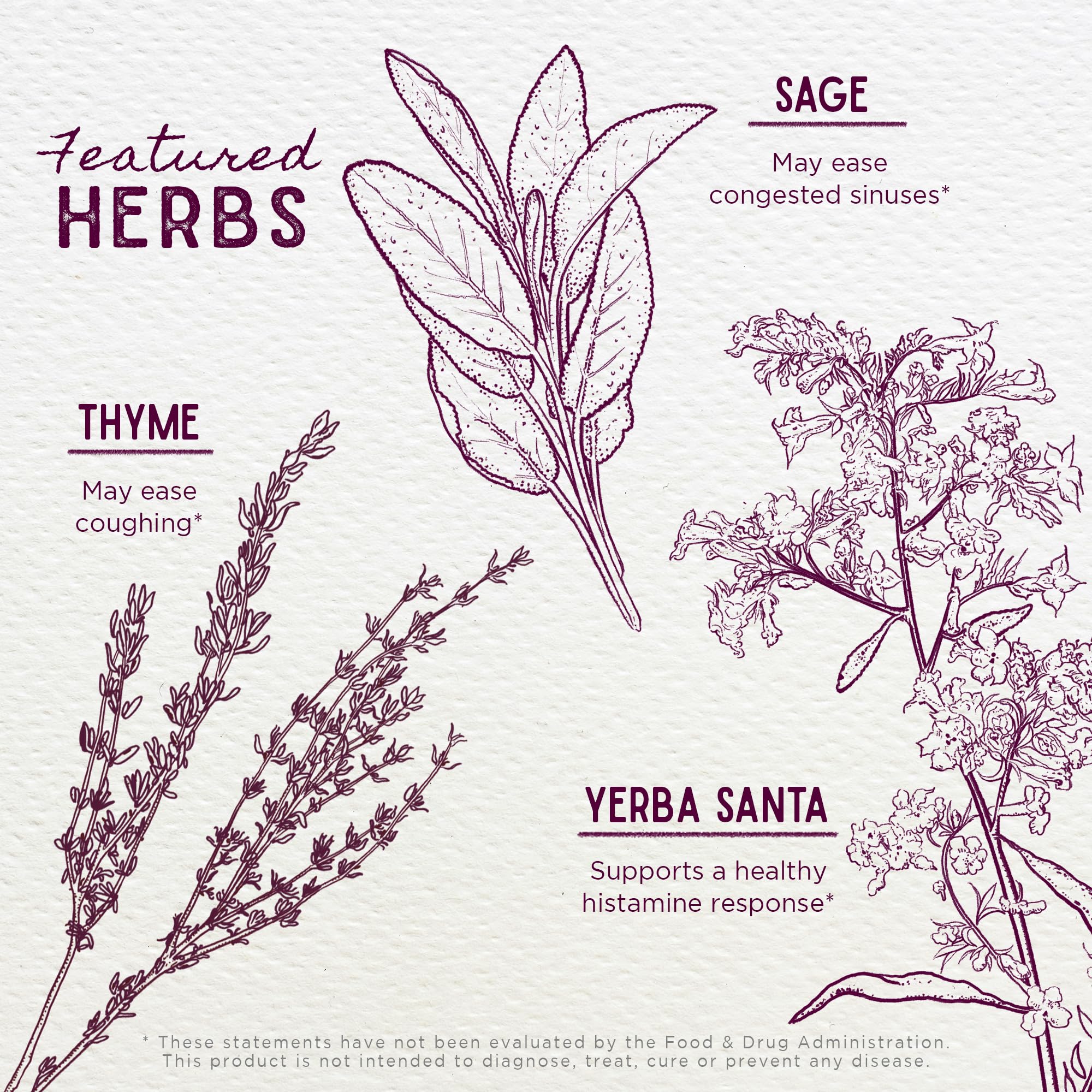 WishGarden Herbs Congestion Rescue Immune Support for Kids - Plant-Based Immune Support and Decongestant w/Elderflower, Wild Cherry Bark & Yerba Santa, Supports Upper & Lower Respiratory Systems, 2oz