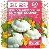 50 White Patty Pan Squash Heirloom Vegetable Seeds, Cucurbita Pepo | Summer Squash Seed Packets for Vegetable Garden, Vegetable Seeds for Planting Outdoors, Home Garden, Heirloom Seed Packets
