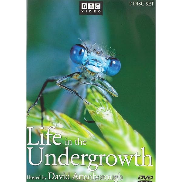 その他 Life in Cold Blood [DVD] 61JiFzDyQYL._UF350,350_QL50_.jpg