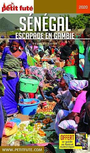 Download Petit Futé Sénégal PDF