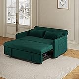 Eafurn 3 in 1 Convertible Pull Out Sofa