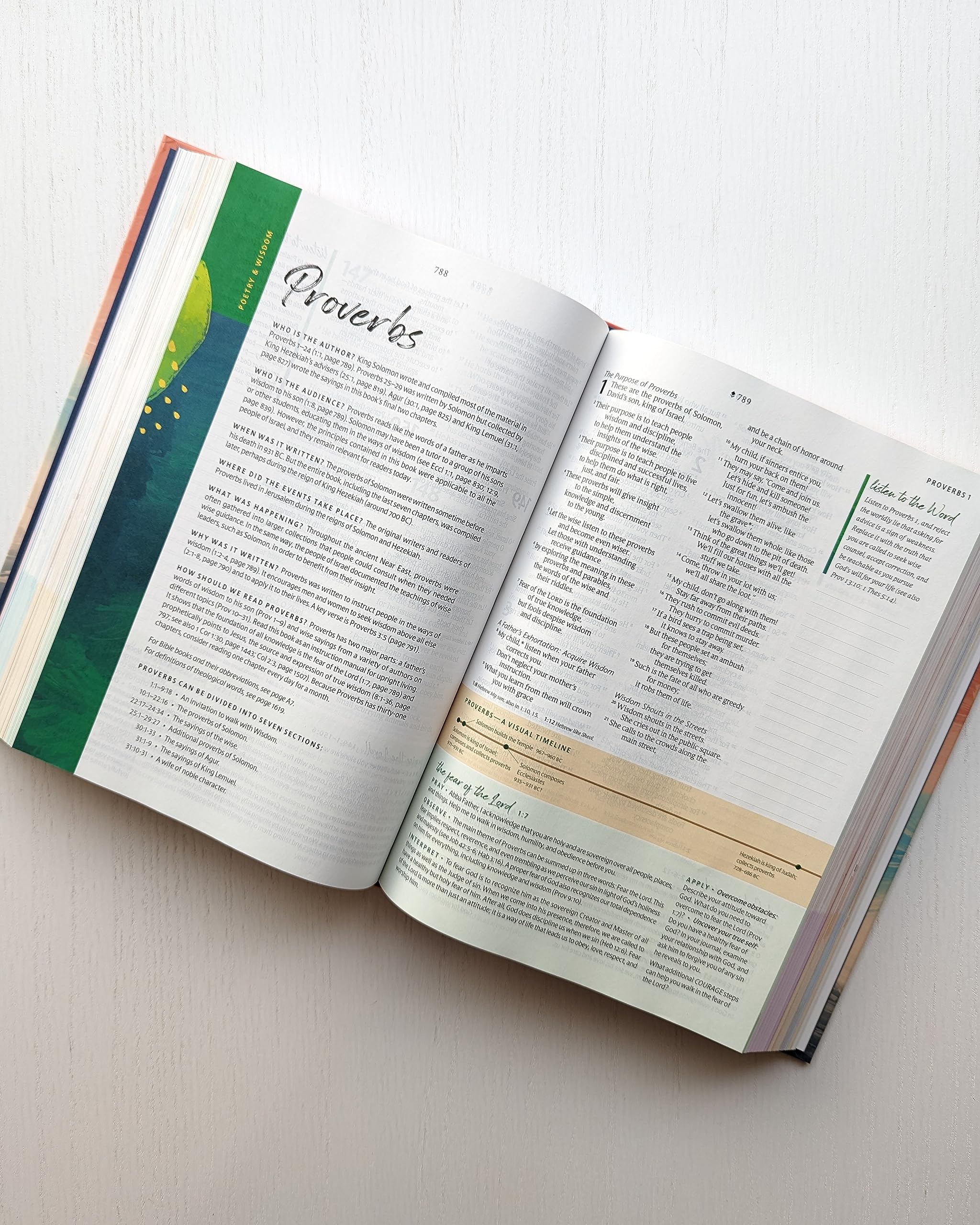NLT Courage For Life Study Bible for Women, Filament Enabled (Hardcover) NLT Courage For Life Study Bible for Women, Filament Enabled (Hardcover) Hardcover