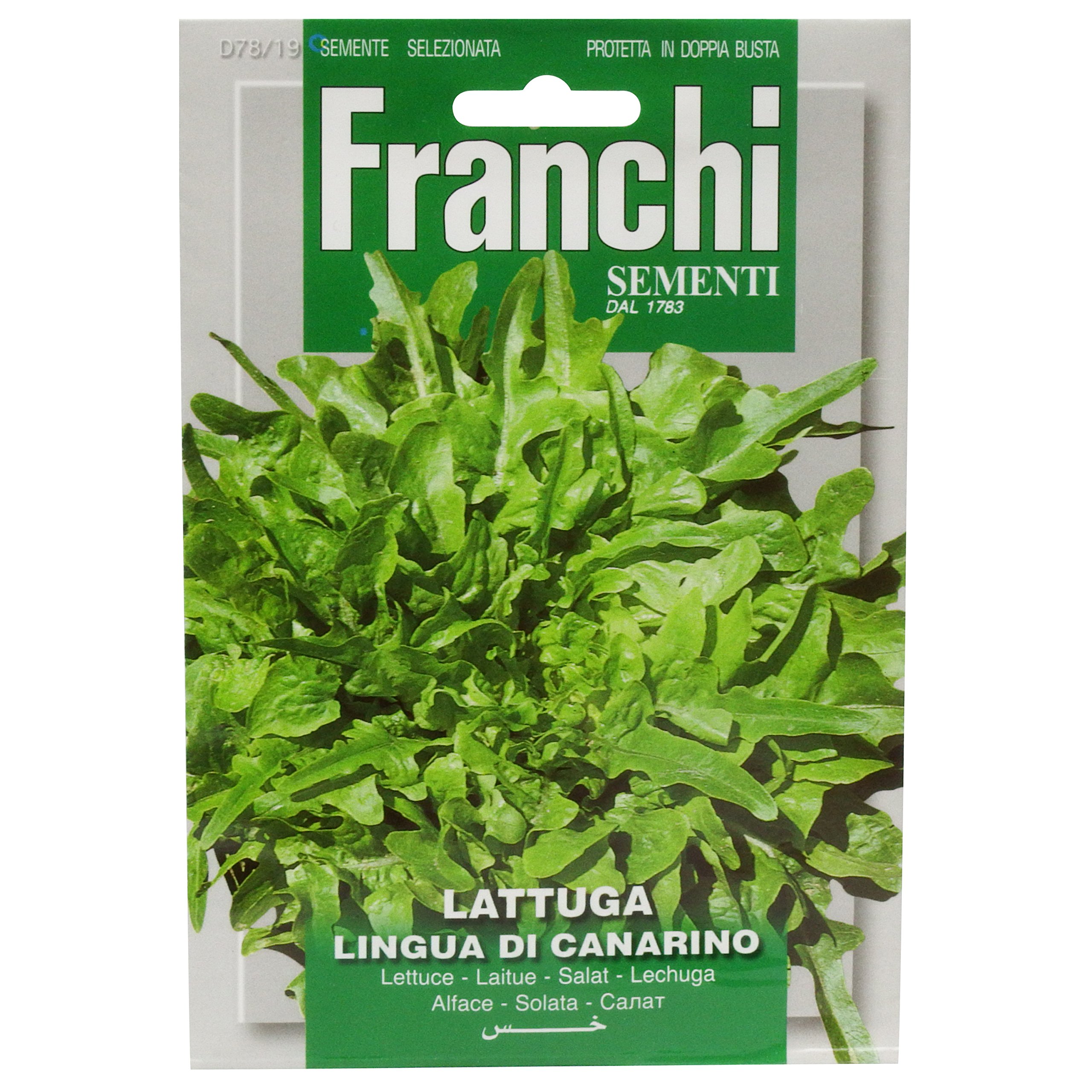 Franchi Lettuce Lingua Di Canarino — image 1
